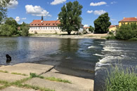 Maringotka Amy